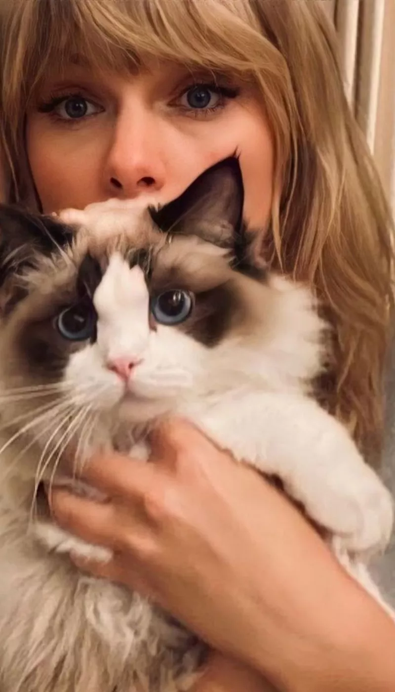 Ảnh Taylor Swift Tạo Dáng Ngoài Trời Ảnh Taylor Swift Tạo Dáng Ngoài Trời