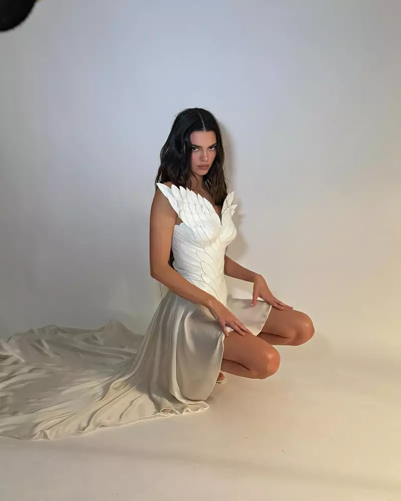 Ảnh Kendall Jenner Tỏa Sáng Trước Ánh Đèn Sự Kiện